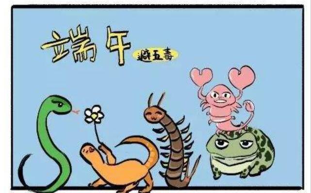 �嶾���˭������ ����嶾���ļ��ֶ���