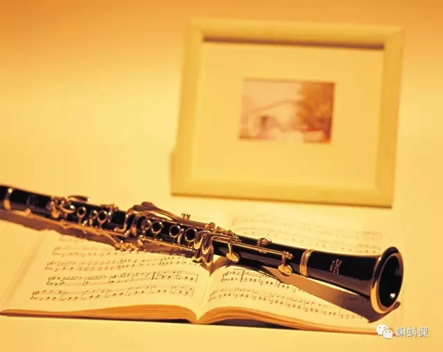 ���������ѵ�������ʲô ����ѧ����������