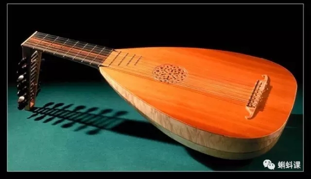 ���������ѵ�������ʲô ����ѧ����������