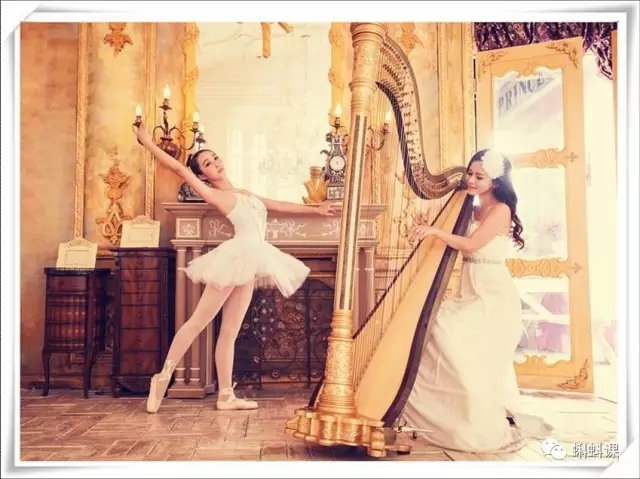 ���������ѵ�������ʲô ����ѧ����������