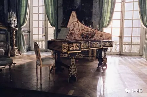 ���������ѵ�������ʲô ����ѧ����������