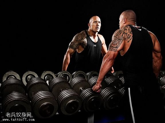 ����ǿɭ����ͼ����ʲô ǿɭ�Ͱ������Ӱ��Ƭ