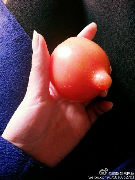 Ů�����ѳԶ��˻���ô�� ���������۹���ɶ