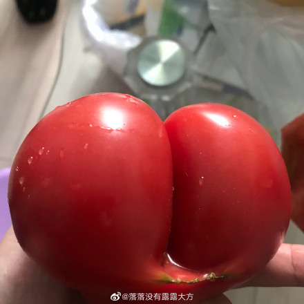 女生番茄吃多了会怎么样 西红柿的污梗是啥