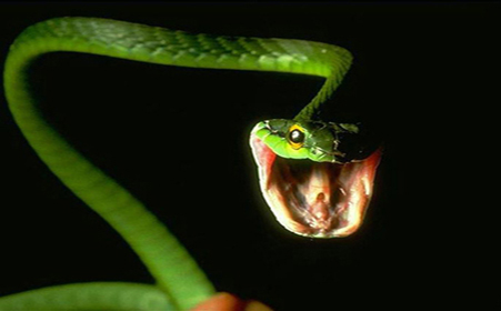 һŮ�ӱ�����ҧ��  �߰ɱ�����ҧ��ͼƬ