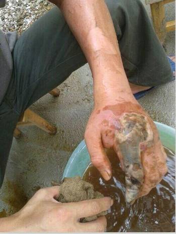 һŮ�ӱ�����ҧ��  �߰ɱ�����ҧ��ͼƬ