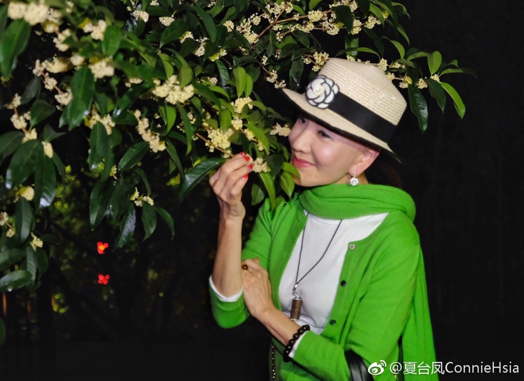 夏台凤是不是西门大妈 夏台凤年轻照片组图