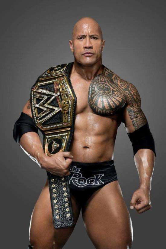 ǿɭ�Ͱ��������ͼ�Ա� ���ؾ�ʯǿɭ�������������ɵ�