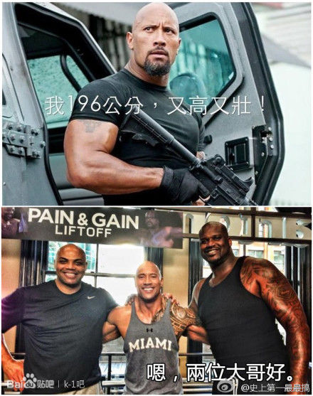 ǿɭ�Ͱ��������ͼ�Ա� ���ؾ�ʯǿɭ�������������ɵ�