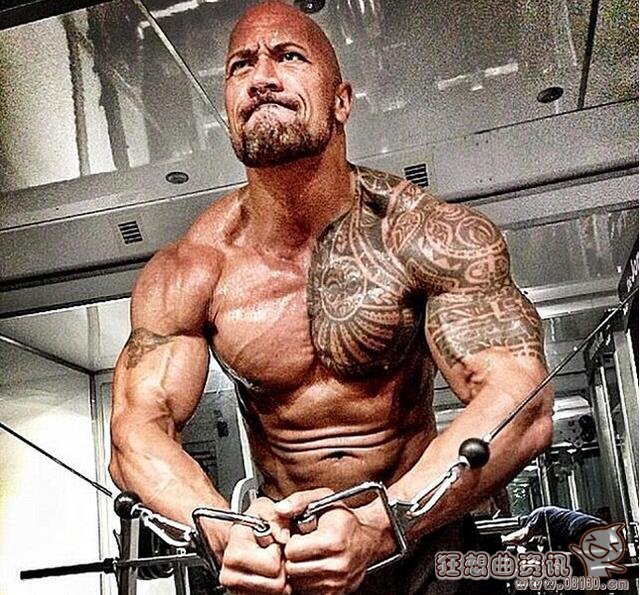 ǿɭ�Ͱ��������ͼ�Ա� ���ؾ�ʯǿɭ�������������ɵ�