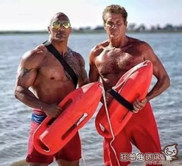 ǿɭ�Ͱ��������ͼ�Ա� ���ؾ�ʯǿɭ�������������ɵ�