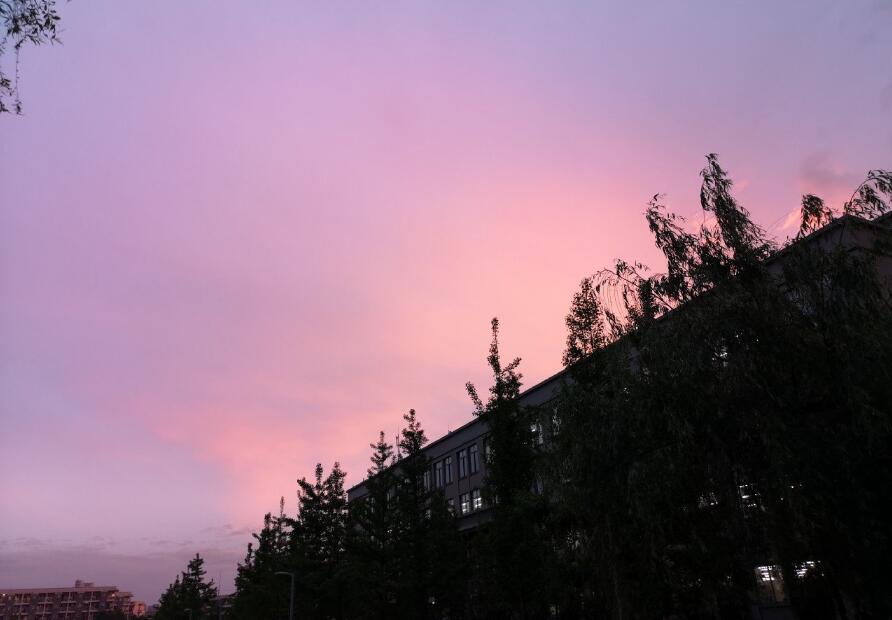 ���������ƻ��� �Ĵ�ƻ�����ʲô��˼