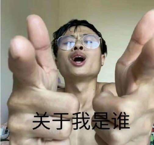 ˫ǹ�������ʲô��˼ ˫ǹ������𰸽�����ͼƬ�����