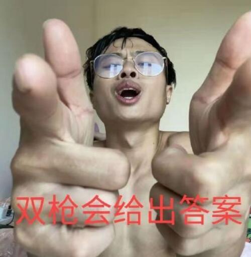 ˫ǹ�������ʲô��˼ ˫ǹ������𰸽�����ͼƬ�����