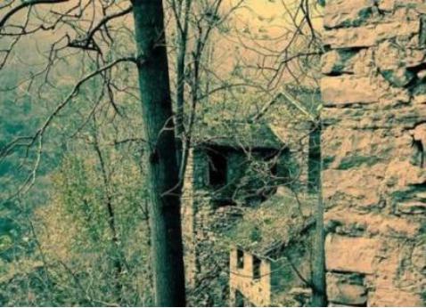 ���Ŵ�̫ʦ���¼����� ���Ŵ�1963��������Ƭͼ