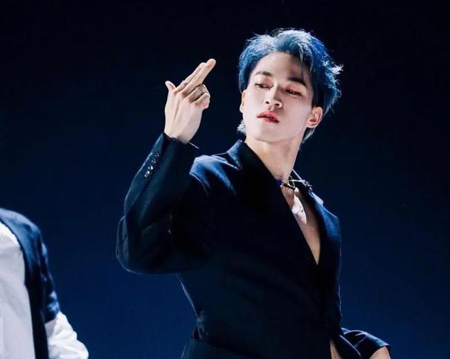 �޶�˵��Ѽ��ʲô��˼ Ѽ�������������۵���˼��