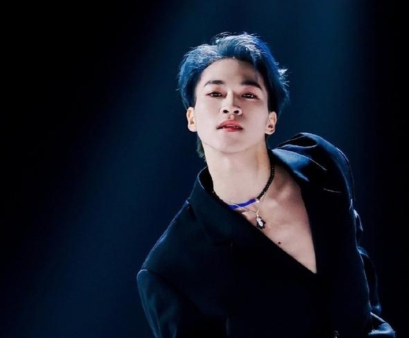 �޶�˵��Ѽ��ʲô��˼ Ѽ�������������۵���˼��