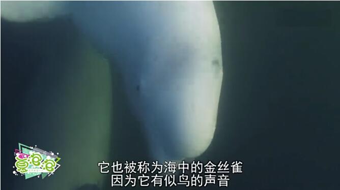 �׾��Ľ������������� �׾��ͺ���˭������