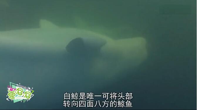 �׾��Ľ������������� �׾��ͺ���˭������