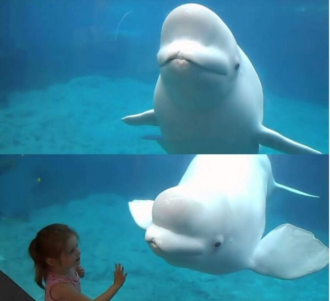 �׾��Ľ������������� �׾��ͺ���˭������