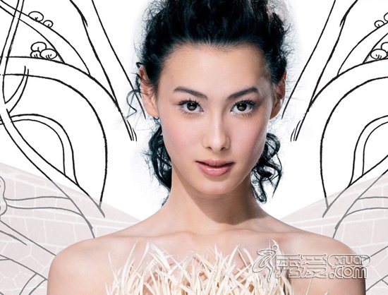 ����ʩ˫��̥��̱��������� ����ʩΪʲô���������