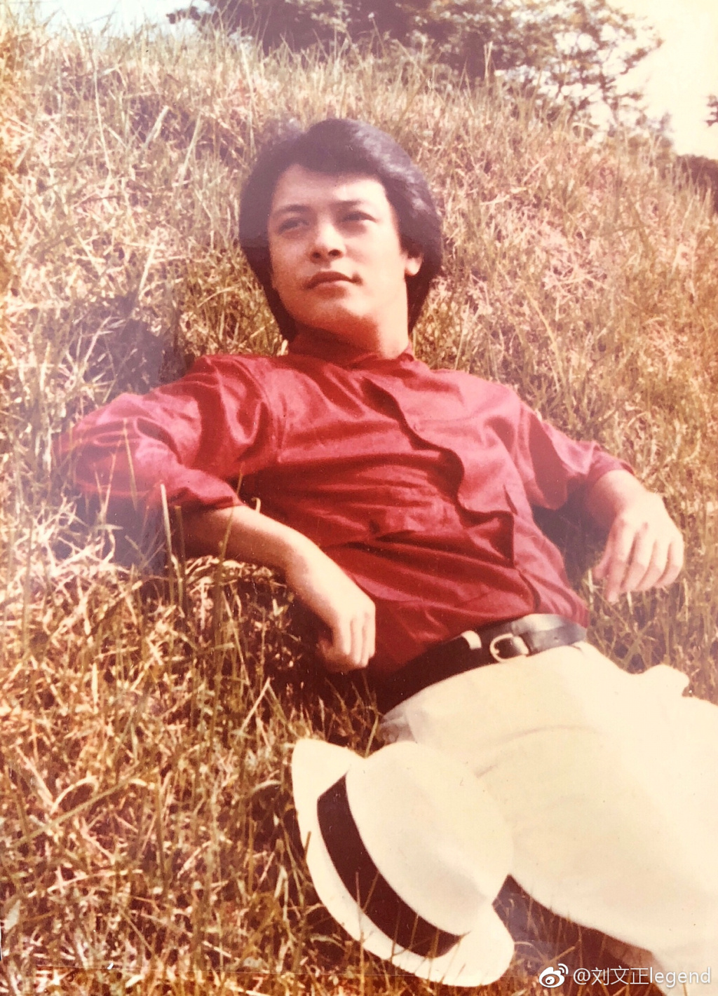 ������Ϊʲô���� ��������״����н�����Ƭ��