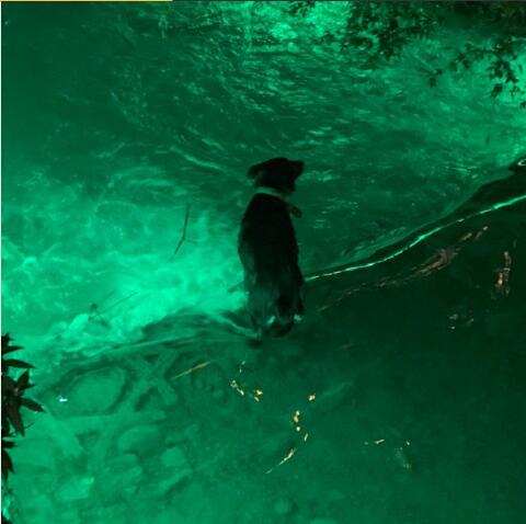 ����Ѫ��ʲô��˼�� Ϊʲô˵���ܹ���а��