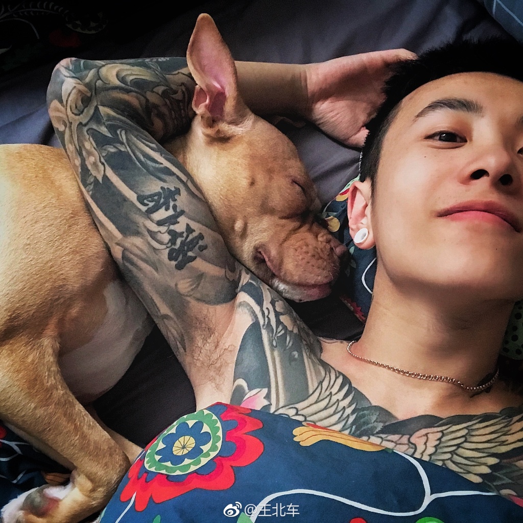 ���������С������һ�� �������ֱ��ϵ�����ͼ����ʲô