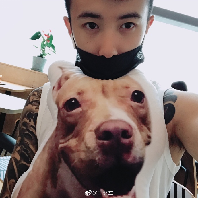 王北车大城小爱是哪一期 王北车手臂上的纹身图案是什么