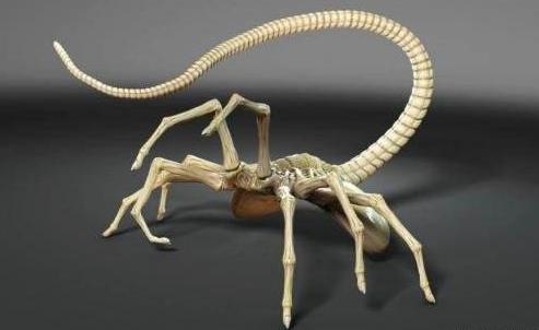 ���ε�Ӱ����ô��ֹ�����汧�� ���α������汧���ܻ���