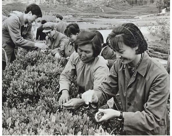 �ϼ��״��� �ϼ����ʱ������