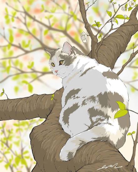 ��è��ʵ��èѡ������ ��������ôһ������