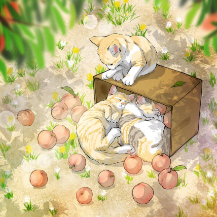 ��è��ʵ��èѡ������ ��������ôһ������