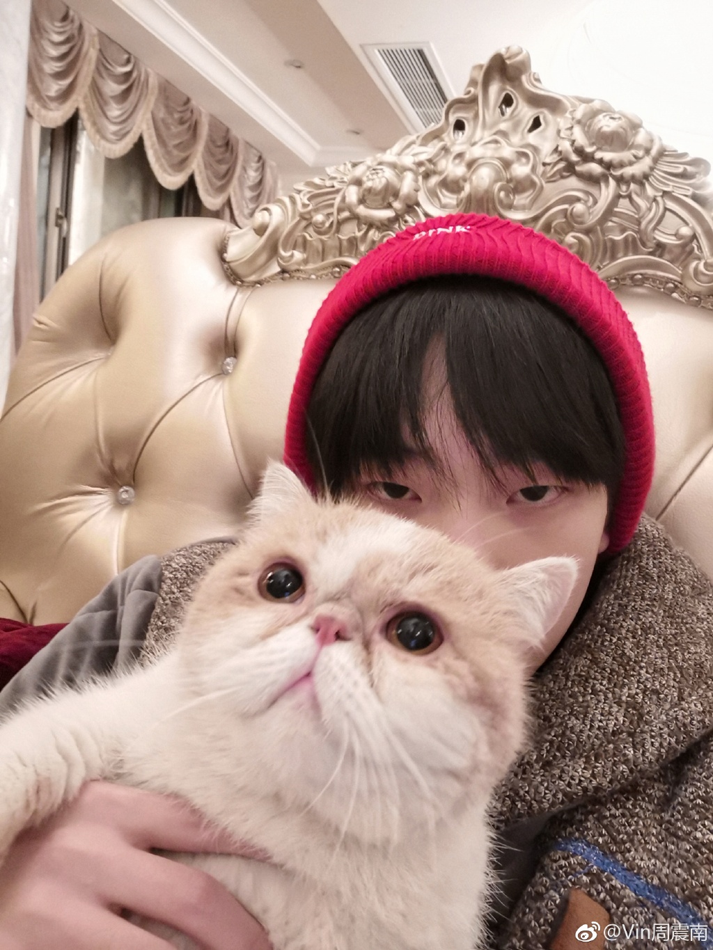 ������Ϊʲô��С�컨�������� ���ɶ��ұ���������