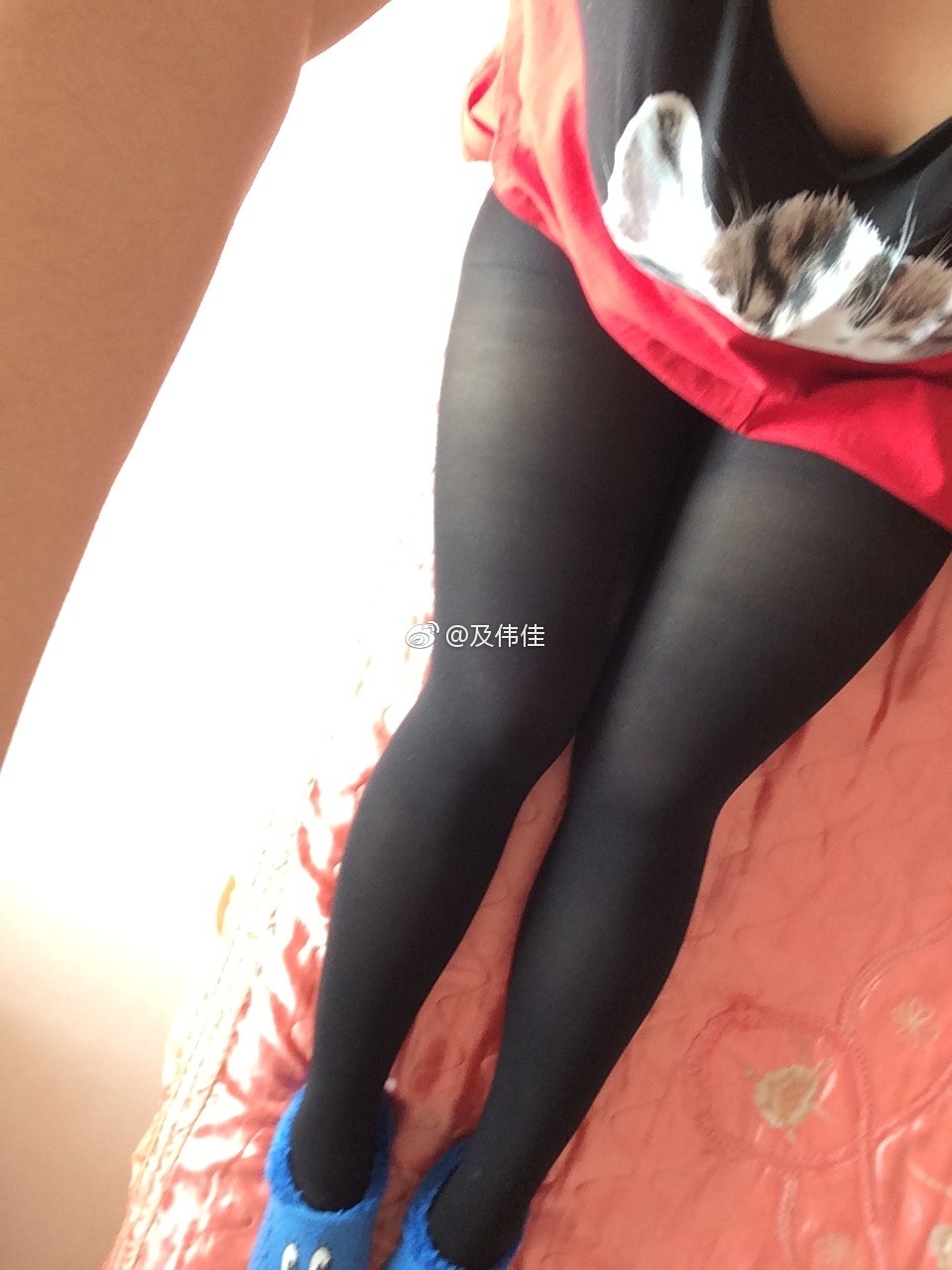 最美女胖子及伟佳切胃是真的吗 及伟佳最近咋样