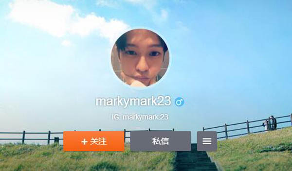 ����������Mark����ʲô�� �����������ͼ����ʲô