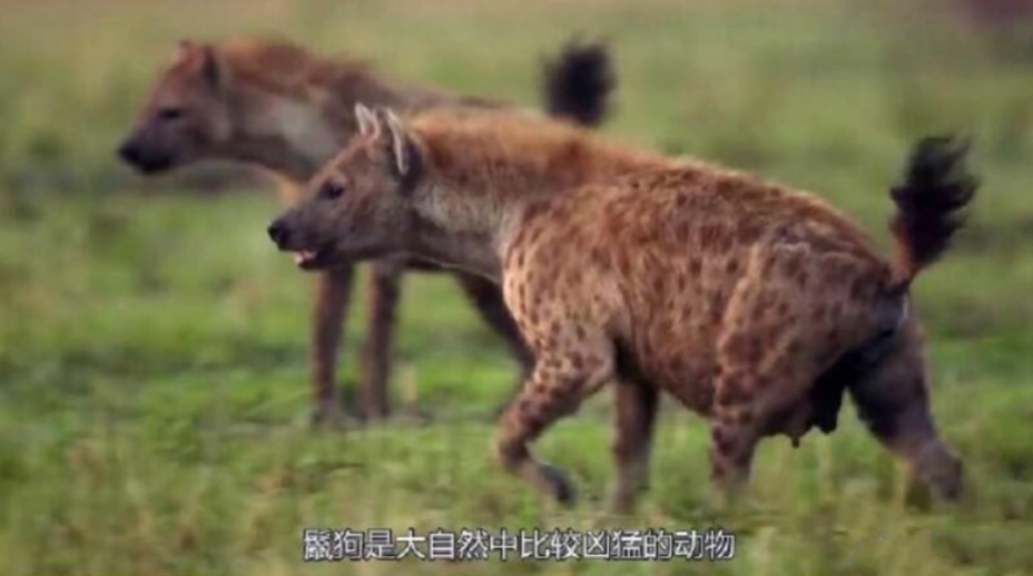 �๷��ʲô���� �๷����ô�͸��ŵ�