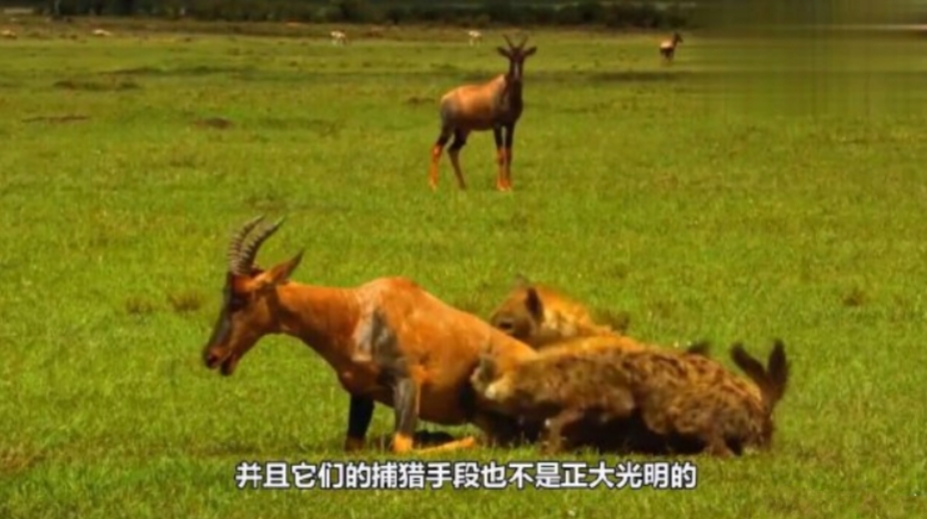 �๷��ʲô���� �๷����ô�͸��ŵ�