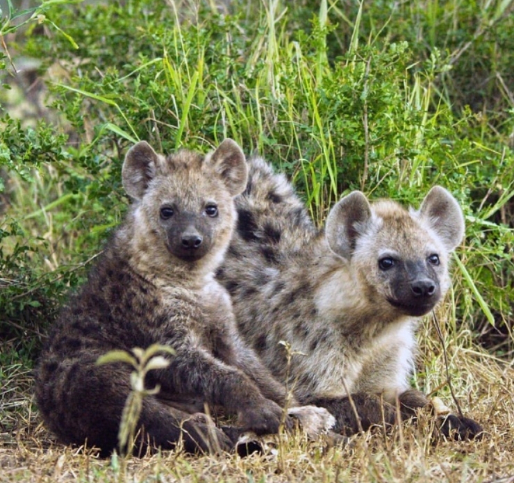 �๷��ʲô���� �๷����ô�͸��ŵ�