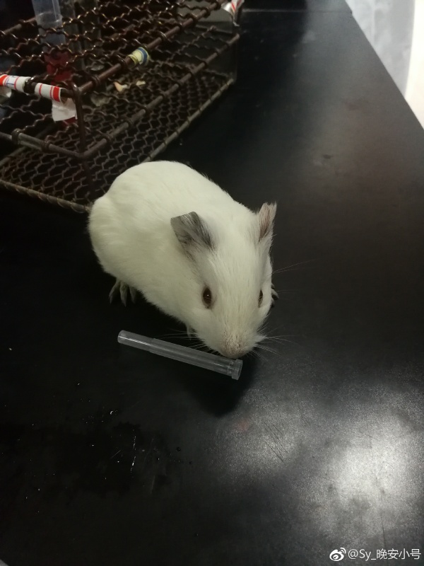 ����Ϊʲô��ͻȻ���� ���˻�������ô