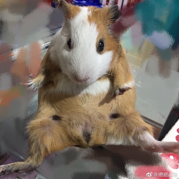 ����Ϊʲô��ͻȻ���� ���˻�������ô