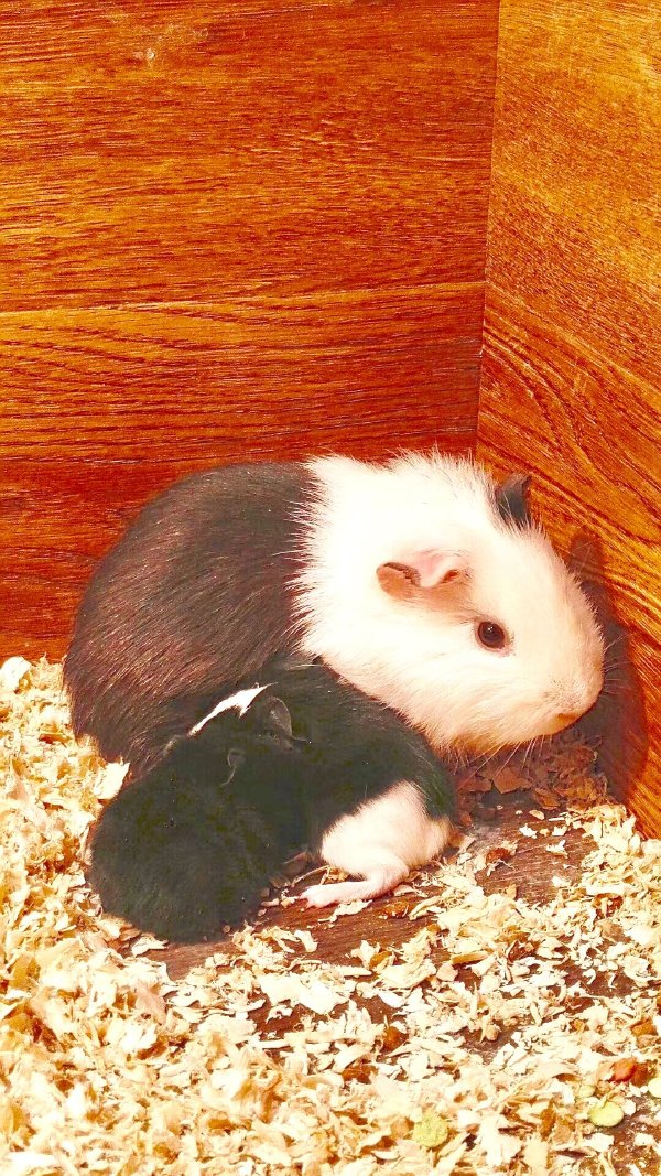 ����Ϊʲô��ͻȻ���� ���˻�������ô