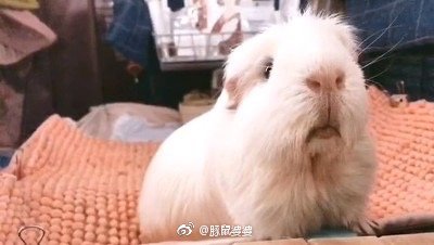 ����Ϊʲô��ͻȻ���� ���˻�������ô