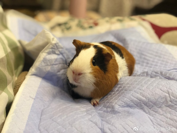 ����Ϊʲô��ͻȻ���� ���˻�������ô