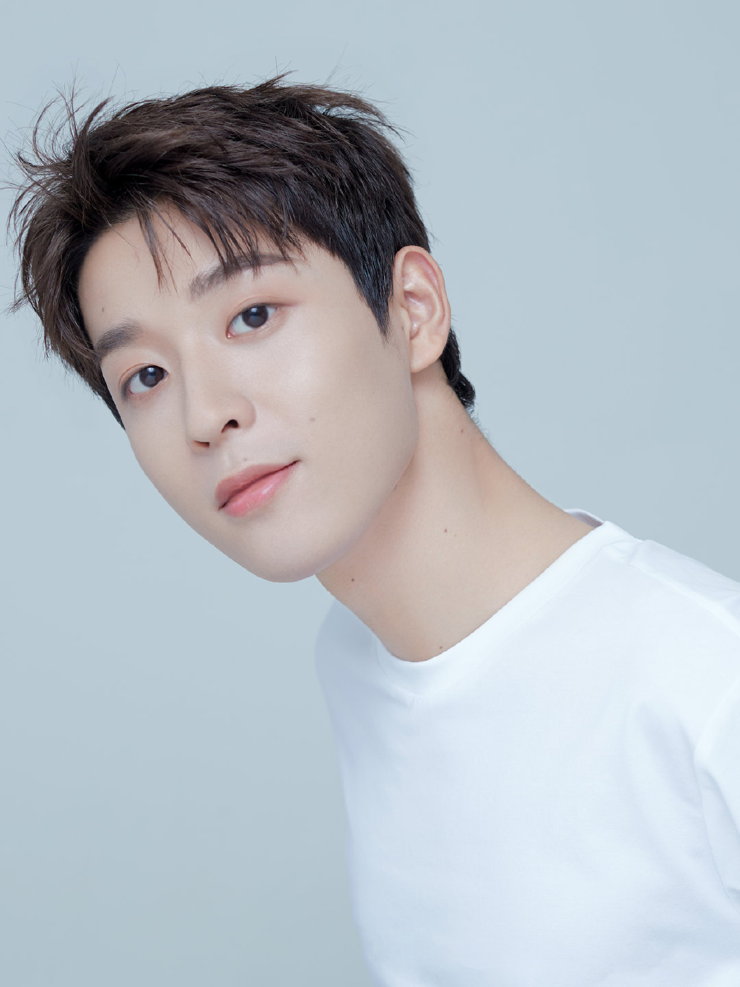 ����������ʲô��ϵ �����Ͻ�ͨ��ѧʲôרҵ��