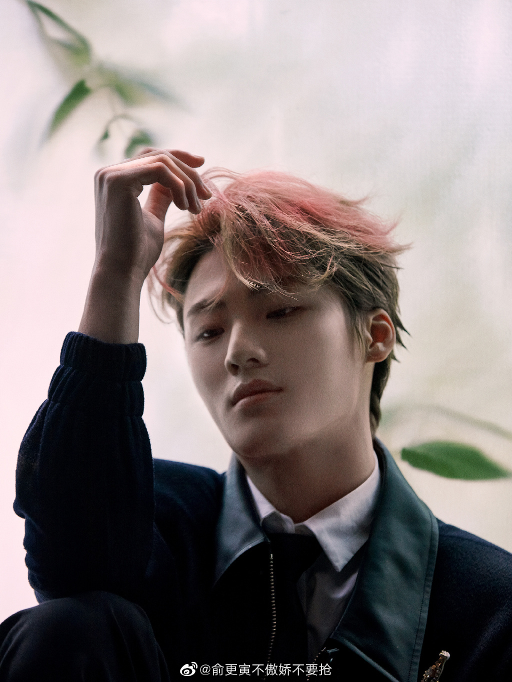 ��������ǯ˫��̥�� ������Ҿ����