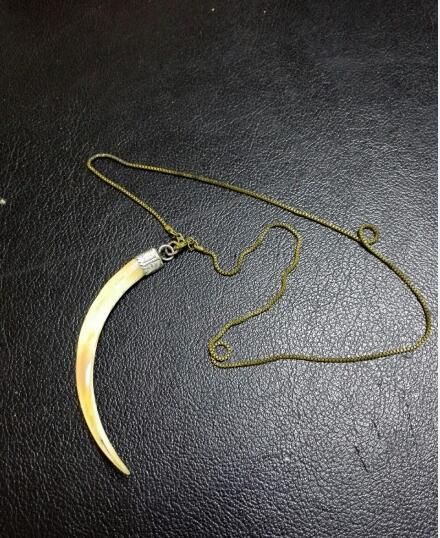 猞猁牙多少钱一只 它的牙齿可以辟邪吗