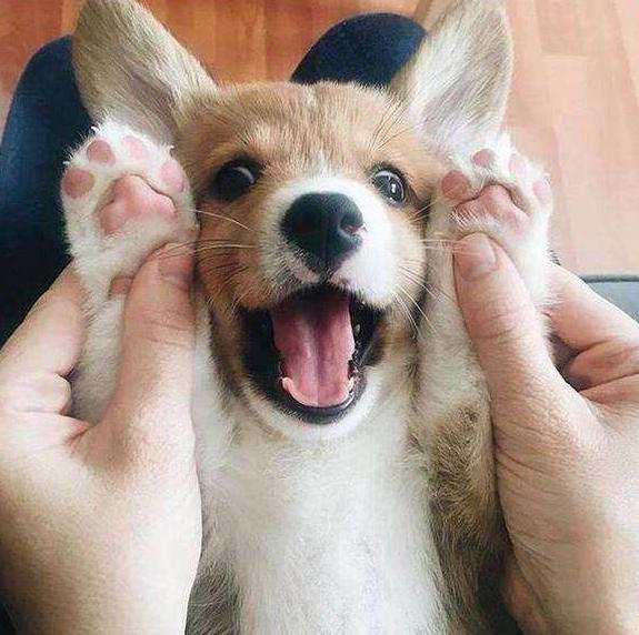 �»�ΪʲôҪ��β ��ֹ�»���β�ͻᱻţ��ס