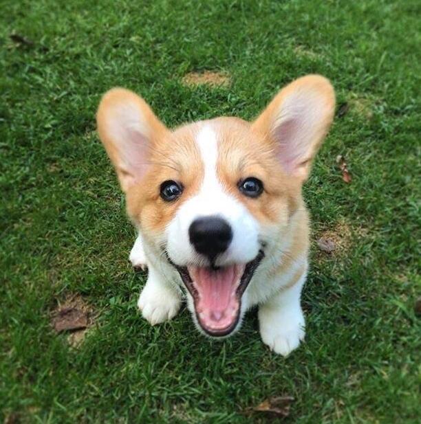 �»�ΪʲôҪ��β ��ֹ�»���β�ͻᱻţ��ס