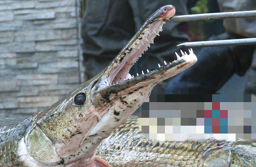 ��ȸ��Ϊʲô�¿�ȸ�� ��ȸ���Բ�����